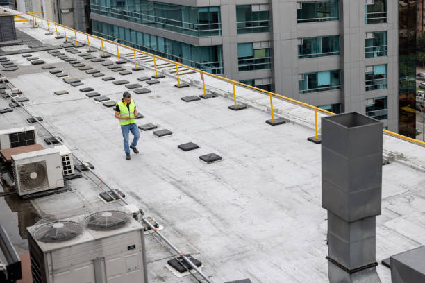 Best Skylight Installation and Repair  in Bradley, WV